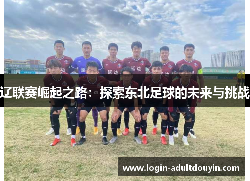 辽联赛崛起之路:探索东北足球的未来与挑战 辽联赛崛起之路:探索东北足球的未来与挑战