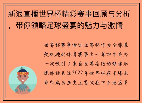 新浪直播世界杯精彩赛事回顾与分析，带你领略足球盛宴的魅力与激情